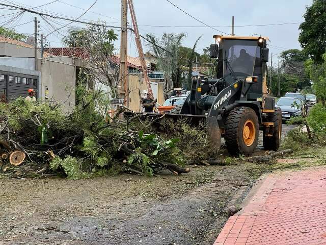 Desde o temporal, popula&ccedil;&atilde;o fez 423 pedidos para remover &aacute;rvores ou galhos