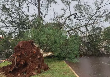 Dourados est&aacute; entre cidades com mais registros de tornados no Brasil