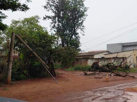 Poste partido e fios baixos preocupam pais em frente de escola municipal 