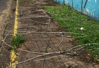 Fios e galhos ainda bloqueiam cal&ccedil;adas ap&oacute;s temporal em Campo Grande