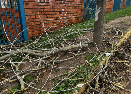 Fios e galhos ainda bloqueiam cal&ccedil;adas ap&oacute;s temporal em Campo Grande