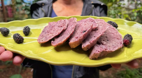 Amora do quintal vira p&atilde;o fofinho e cheio de cor com receita simples