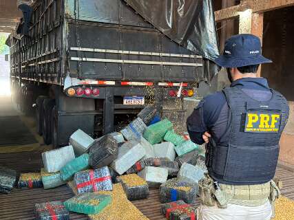 Carga de milho esconde 5,2 toneladas de maconha em rodotrem