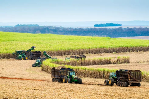 MS cresce na produ&ccedil;&atilde;o de cana e coloca Nova Alvorada do Sul no 2&ordm; lugar nacional