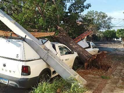MS ter&aacute; tr&ecirc;s dias de alerta para tempestades e ventos podem chegar a 100 km/h