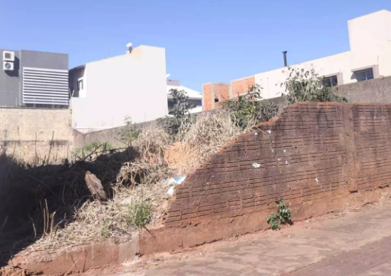 Prefeitura faz 141 notifica&ccedil;&otilde;es por terrenos sujos, cal&ccedil;adas e falta de muros