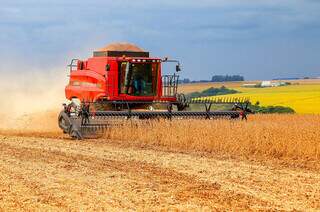 Centro-Oeste retoma liderança agrícola e MS movimenta R$ 47,8 bilhões Centro-Oeste retoma liderança agrícola e MS movimenta R$ 47,8 bilhões