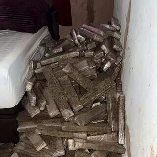Casa &eacute; usada como dep&oacute;sito e pol&iacute;cia apreende 1,6 tonelada de maconha