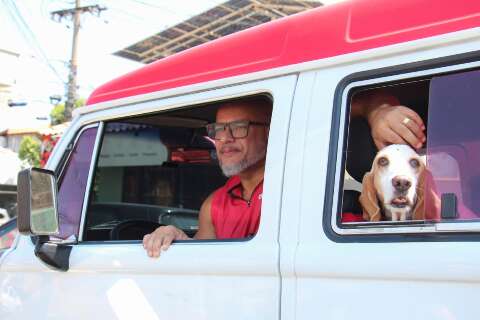 Kombi dos cachorros leva at&eacute; 15 pets e rouba olhares pelas ruas 