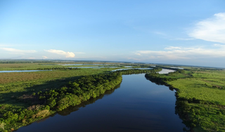 Mata Atlântica perdeu 184 mil hectares em MS enquanto lavouras avançaram 582% Mata Atlântica perdeu 184 mil hectares em MS enquanto lavouras avançaram 582%