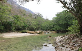 Mata Atlântica perdeu 184 mil hectares em MS enquanto lavouras avançaram 582% Mata Atlântica perdeu 184 mil hectares em MS enquanto lavouras avançaram 582%