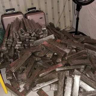 Casa &eacute; usada como dep&oacute;sito e pol&iacute;cia apreende 1,6 tonelada de maconha