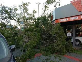 Semana começa com risco de temporal, granizo e ventos fortes Semana começa com risco de temporal, granizo e ventos fortes