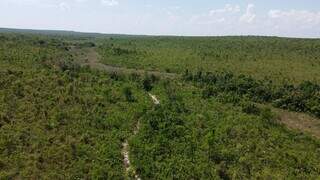 Onde nasce a água, Cerrado ganha proteção permanente em Ribas do Rio Pardo Onde nasce a água, Cerrado ganha proteção permanente em Ribas do Rio Pardo