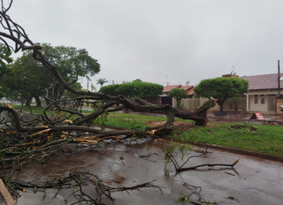 Ventania destelha dezenas de casas e atinge escola em Caarap&oacute;