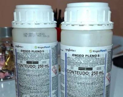 Inseticida ligado a risco para abelhas tem cadastro suspenso em MS