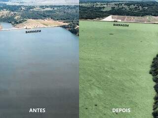 Justiça dá 48 horas para usina retirar macrófitas do Rio Pardo Justiça dá 48 horas para usina retirar macrófitas do Rio Pardo