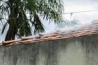 Perícia preliminar indica que jovens tentaram lutar antes de serem mortas Perícia preliminar indica que jovens tentaram lutar antes de serem mortas