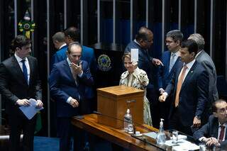 Tereza Cristina entra no jogo por comando do Senado com agro e STF na pauta Tereza Cristina entra no jogo por comando do Senado com agro e STF na pauta
