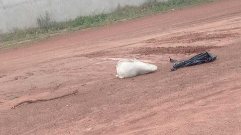 Quatro s&atilde;o presos por morte de jovem achado amarrado em saco de lixo