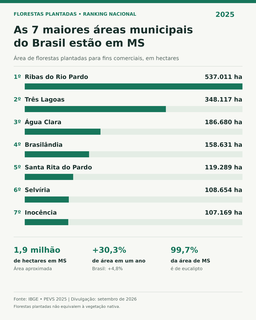 IBGE: MS tem as 7 cidades com maiores áreas de florestas plantadas do Brasil IBGE: MS tem as 7 cidades com maiores áreas de florestas plantadas do Brasil