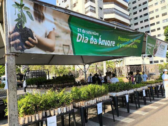 Prefeitura distribui 10 mil mudas de &aacute;rvores frut&iacute;feras neste s&aacute;bado