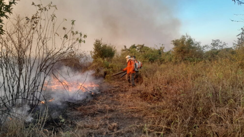 IHP integra fundo internacional para refor&ccedil;ar preven&ccedil;&atilde;o de inc&ecirc;ndios no Pantanal