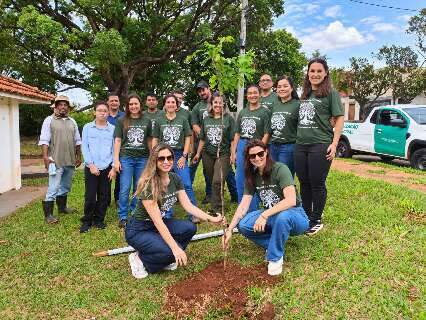 Grupo planta &aacute;rvores para criar novo ref&uacute;gio para observa&ccedil;&atilde;o de aves na Capital