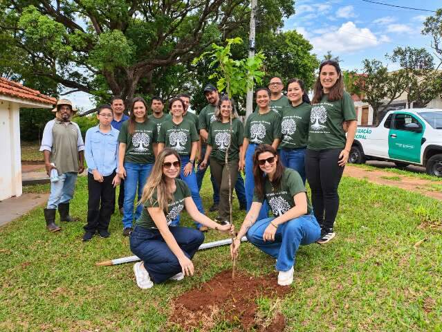 Grupo planta &aacute;rvores para criar novo ref&uacute;gio para observa&ccedil;&atilde;o de aves na Capital