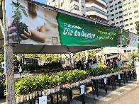 Prefeitura distribui 10 mil mudas de &aacute;rvores frut&iacute;feras neste s&aacute;bado