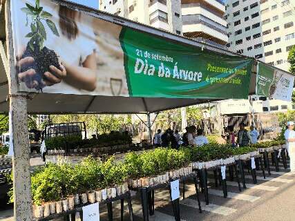 Prefeitura distribui 10 mil mudas de &aacute;rvores frut&iacute;feras neste s&aacute;bado
