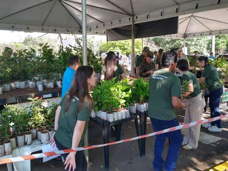 Campo Grande News