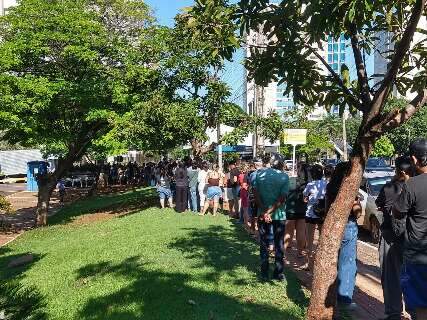 Campo-grandenses come&ccedil;am o dia na fila para levar mudas frut&iacute;feras para casa