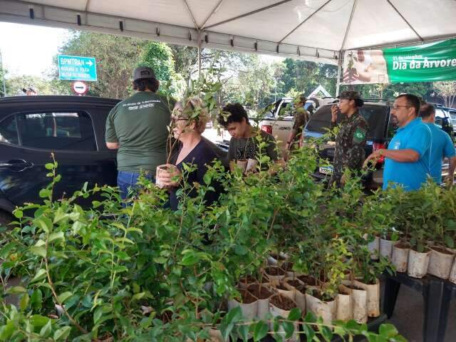 Campo-grandenses come&ccedil;am o dia na fila para levar mudas frut&iacute;feras para casa