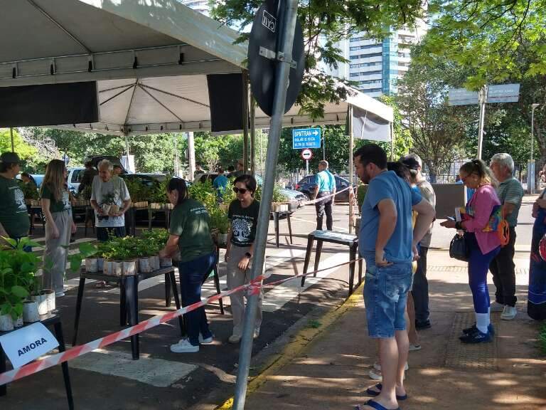 Campo Grande News