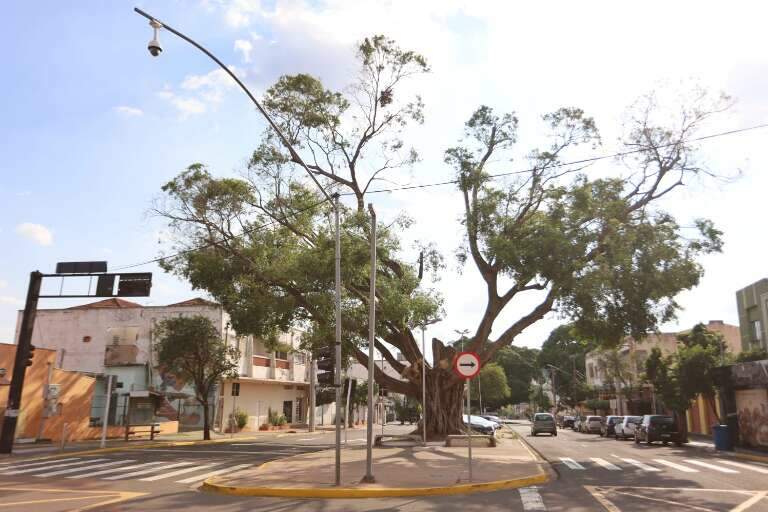 Campo Grande News