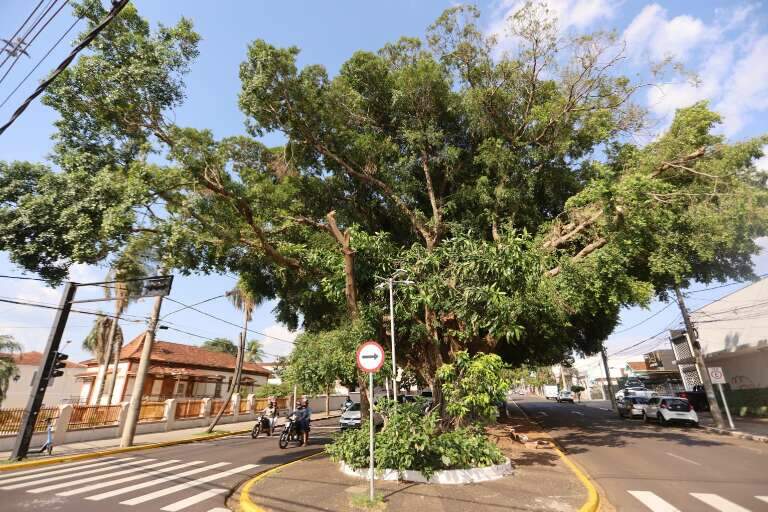 Campo Grande News
