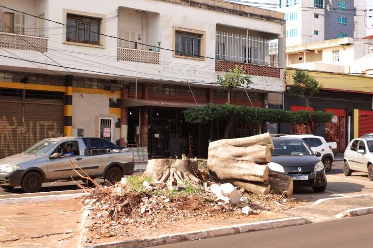Campo Grande News