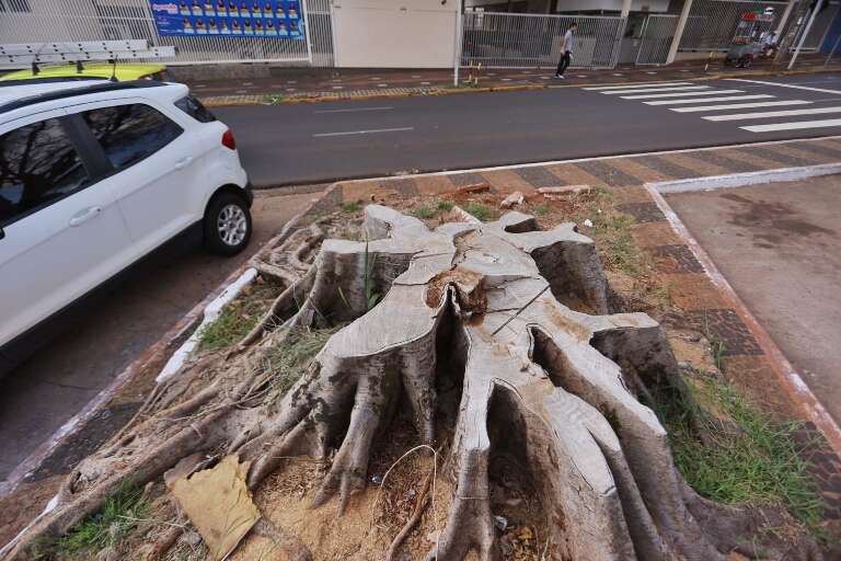 Campo Grande News