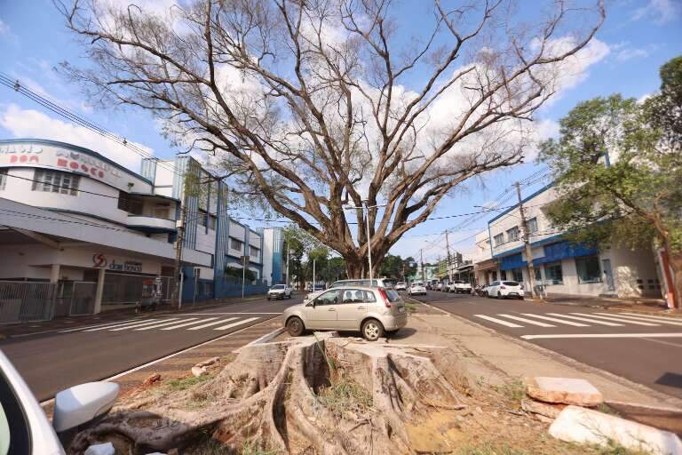 Campo Grande News