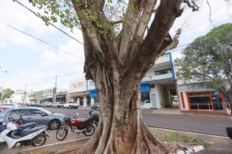 Campo Grande News