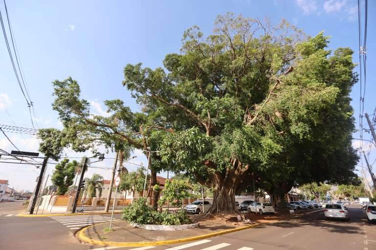 Campo Grande News