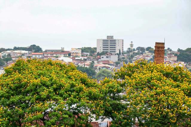 P&oacute;len est&aacute; no ar da cidade e alergia pode evoluir para quadros mais graves 