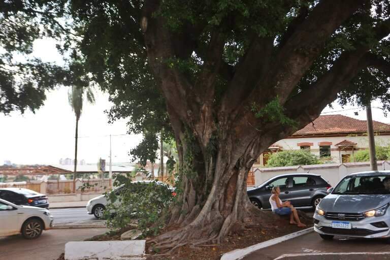 Campo Grande News