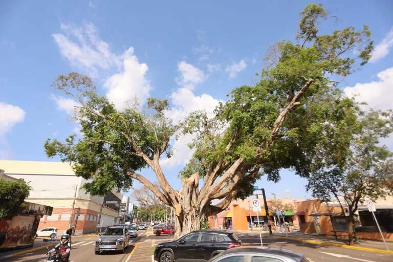Campo Grande News