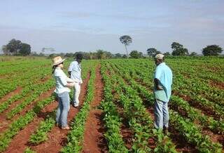 Povos indígenas de MS se unem para negociar a própria produção Povos indígenas de MS se unem para negociar a própria produção