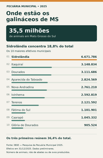 Sidrol&acirc;ndia concentra quase um quinto dos galin&aacute;ceos de MS, aponta IBGE