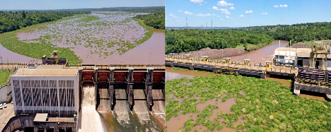 Usina diz que n&atilde;o foi comunicada de ordem para retirar plantas do Rio Pardo
