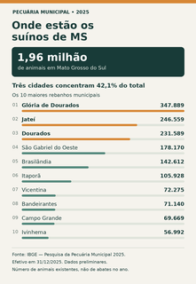 Tr&ecirc;s cidades concentram 42% dos quase 2 milh&otilde;es de su&iacute;nos de MS