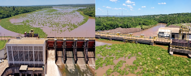 Usina diz que n&atilde;o foi comunicada de ordem para retirar plantas do Rio Pardo